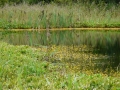 p1050632_1024x768
